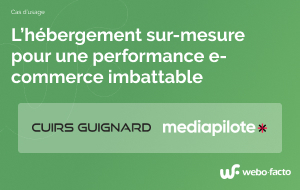 Vignette cas d'usage serveur Mpil cholet et Cuir Guignard